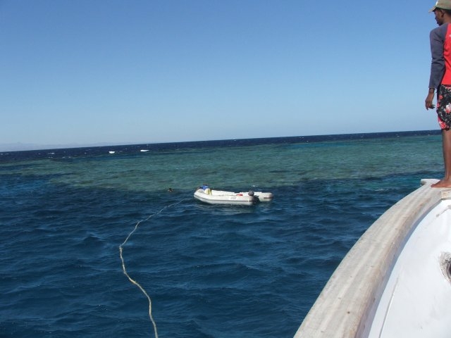  Cruceros y buceo en el Mar Rojo.JPG 
